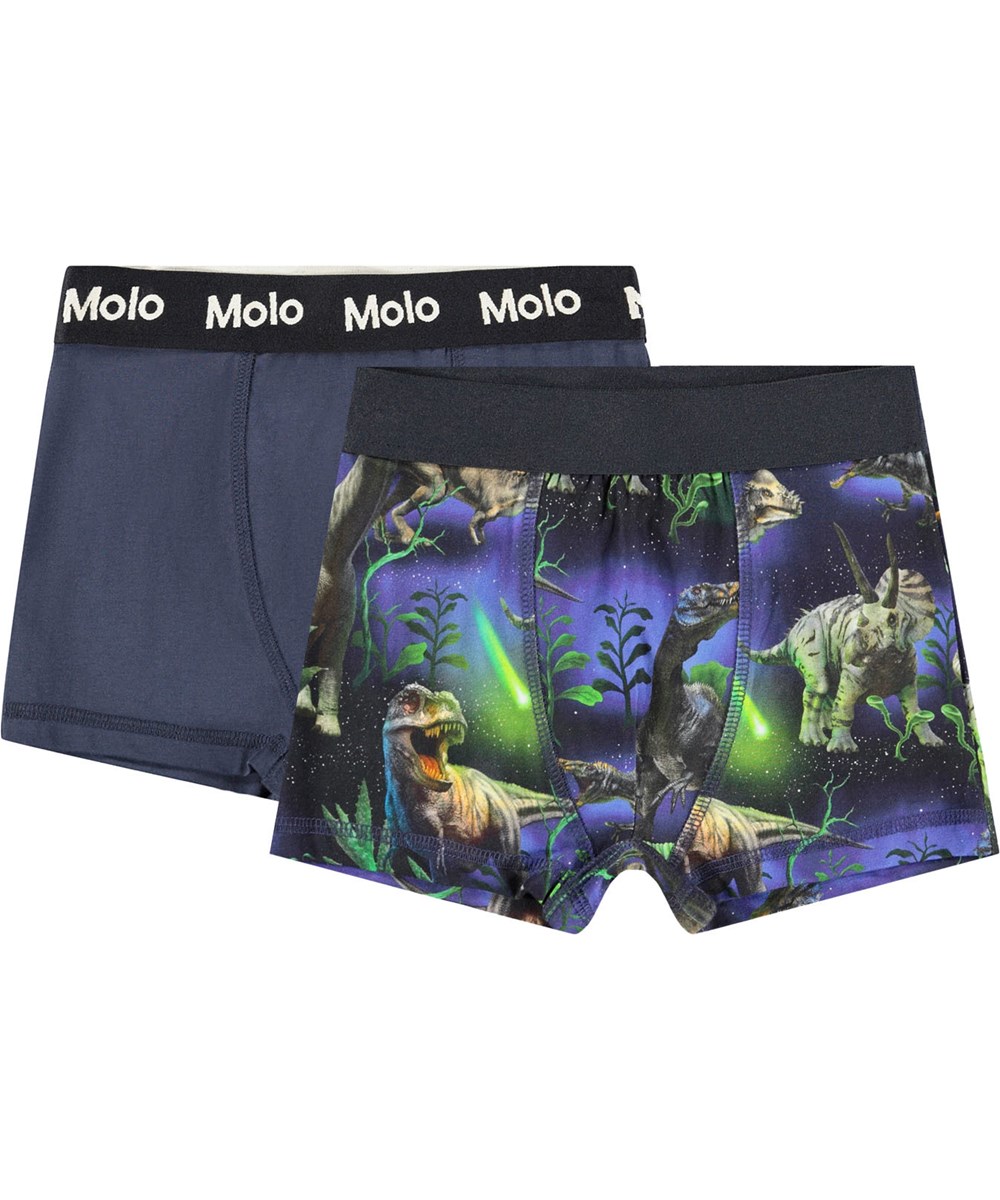 Justin 2-pack - Dino Galaxy - Duopak van kinderboxershorts gemaakt van zacht biologisch katoen met een brede elastische tailleband voor een comfortabele pasvorm.