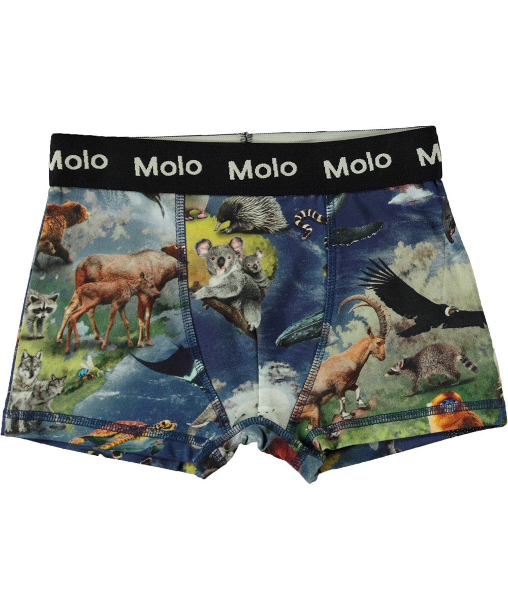 Justin 2-pack - Indigo Animal - Boxershorts met dieren en Aarde print