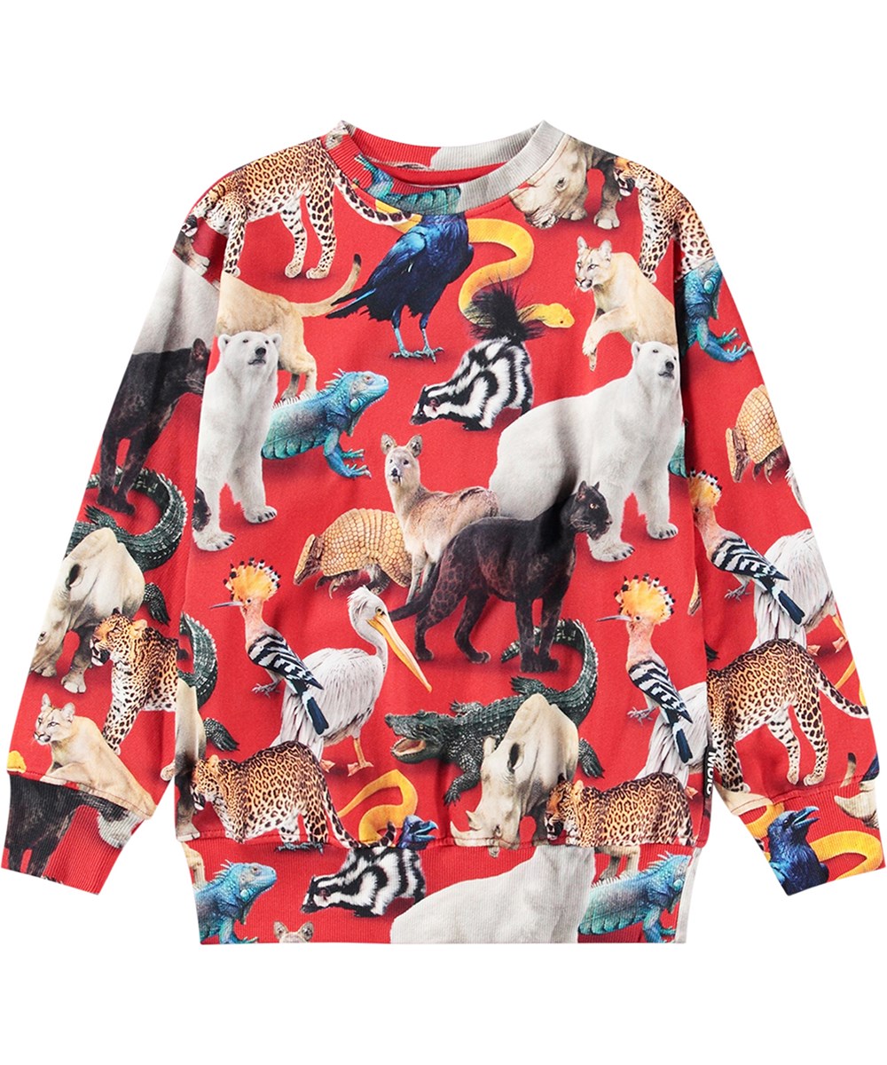 Mattis - Animal Mix - Donkergroene sweater met dierenprint van biologisch katoen.