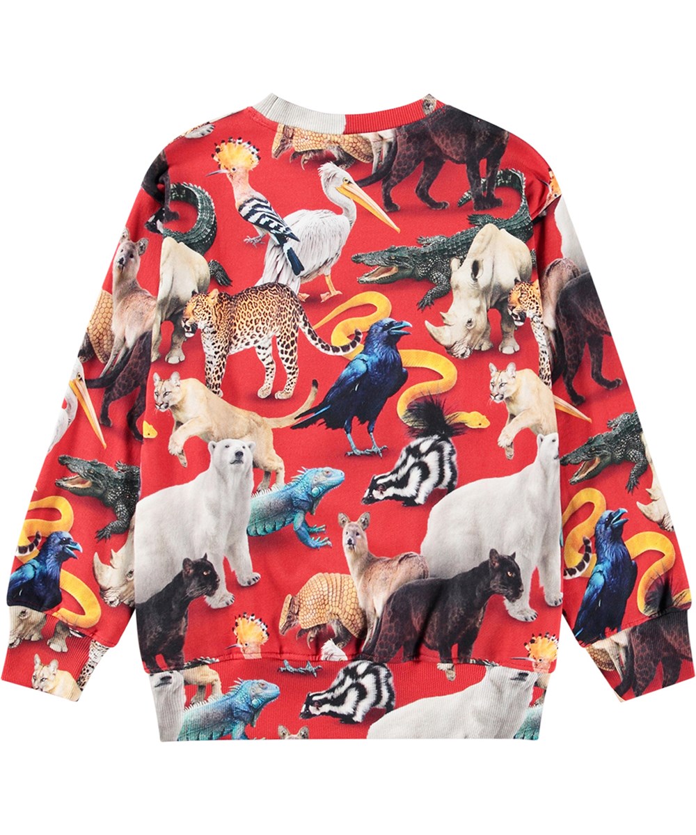 Mattis - Animal Mix - Donkergroene sweater met dierenprint van biologisch katoen.