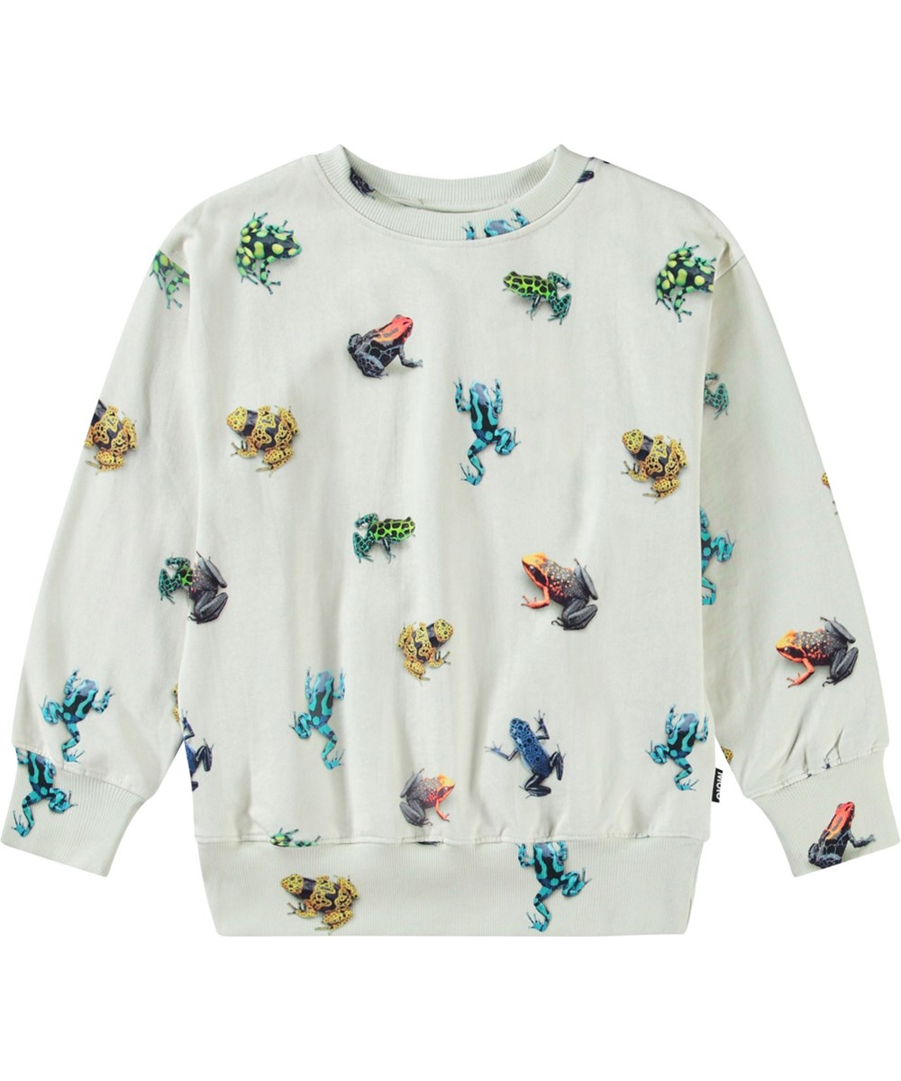 Mattis - Vibrant Frogs - Beige kindersweater van zacht bioloigsch katoen met print en ribboord rond de hals, mouwen en onderkant.