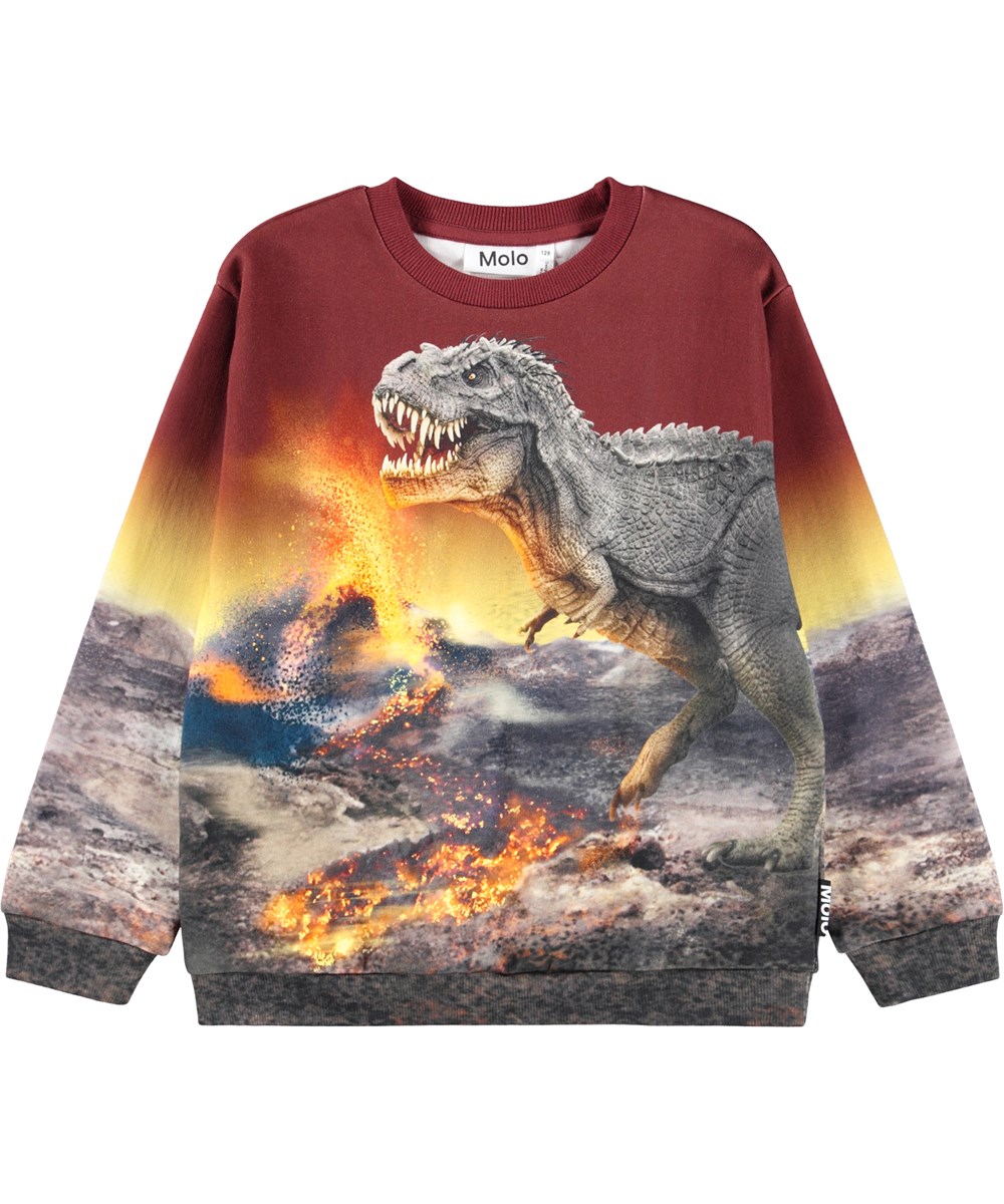 Miksi - Dino Landscape - Donkerrode kindersweater gemaakt van zacht biologisch katoen met een dinosaurusprint.