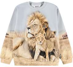 Miksi Sweaters