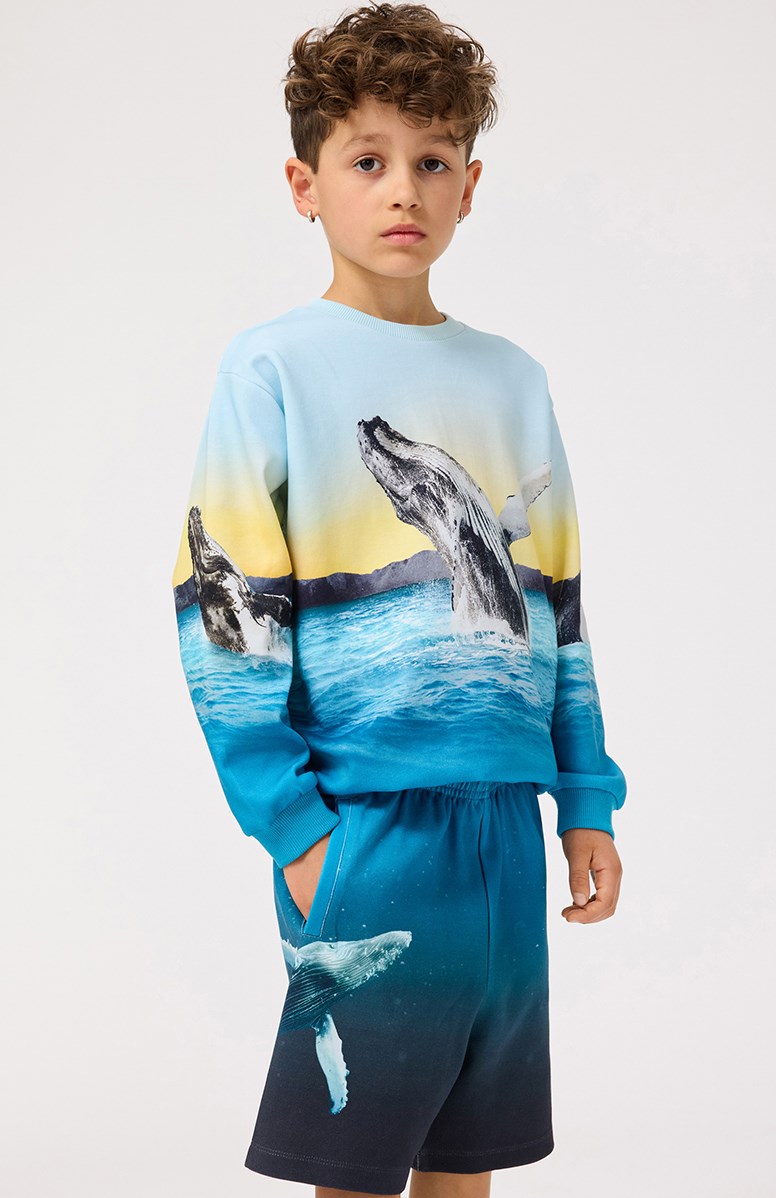 Miksi - Whale Jump - Lichtblauwe kindersweater van zacht biologisch katoen met print en ribboord rond de hals, mouwen en onderkant. 
