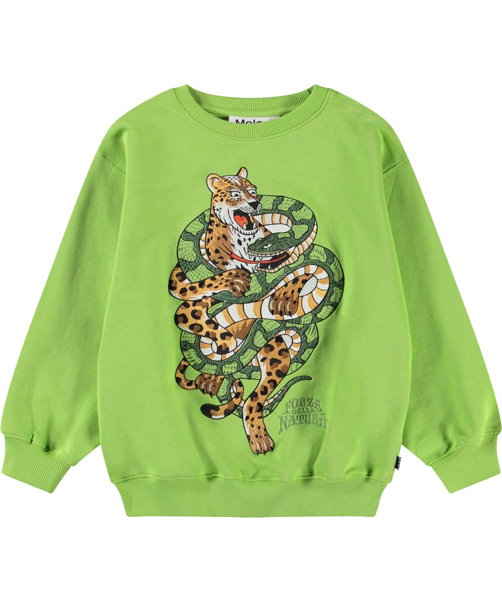 Monti - Cambuci - Groene kindersweater van zacht biologisch katoen met print en ribboord rond de hals, mouwen en onderkant.