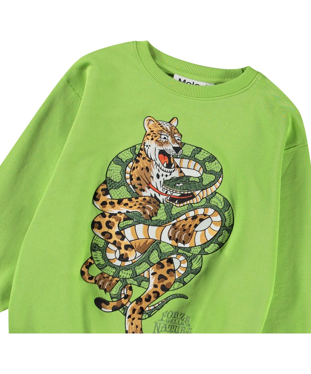 Monti - Cambuci - Groene kindersweater van zacht biologisch katoen met print en ribboord rond de hals, mouwen en onderkant.