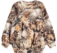 Monti Sweaters