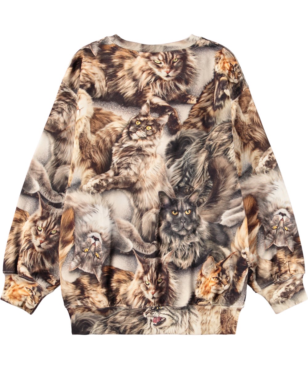 Monti - Cattitudes - Kindersweater gemaakt van zacht biologisch katoen met een bruine print van katten.