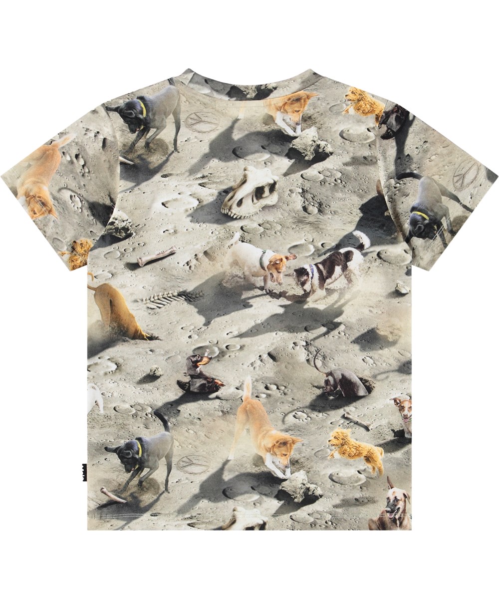 Ralphie - Moon Dogs - Grijze kinder t-shirt gemaakt van zacht biologisch katoen met print en een ribboord rond de hals.