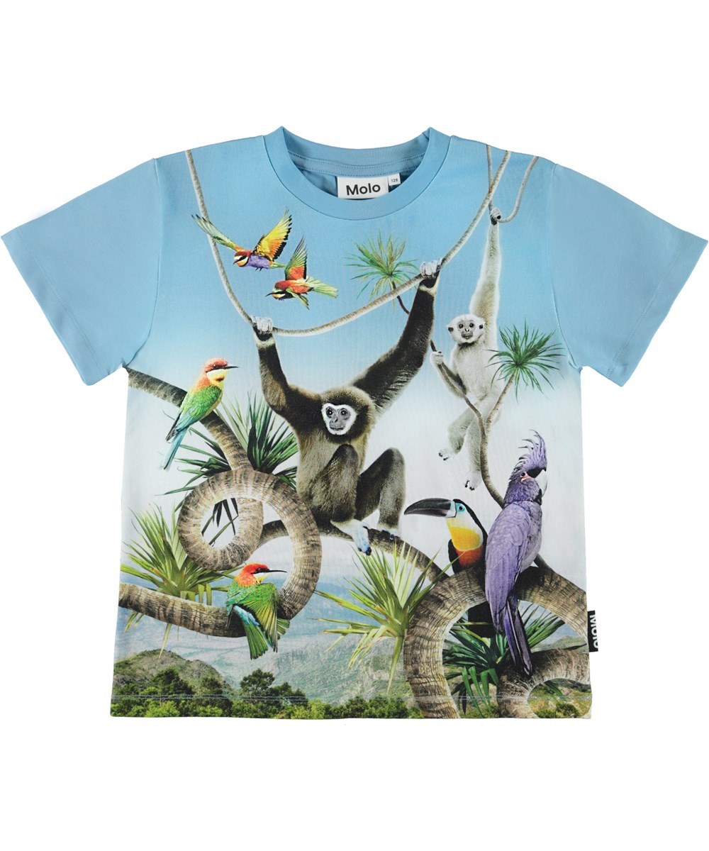 Rame - Monkeys - Birds - 