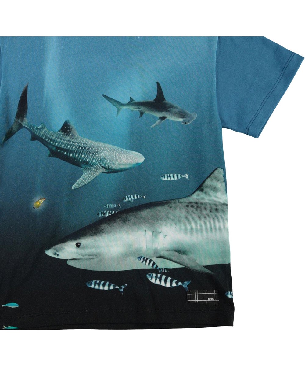 Raveno - Big Fish - Blauwe biologische t-shirt met haaienprint