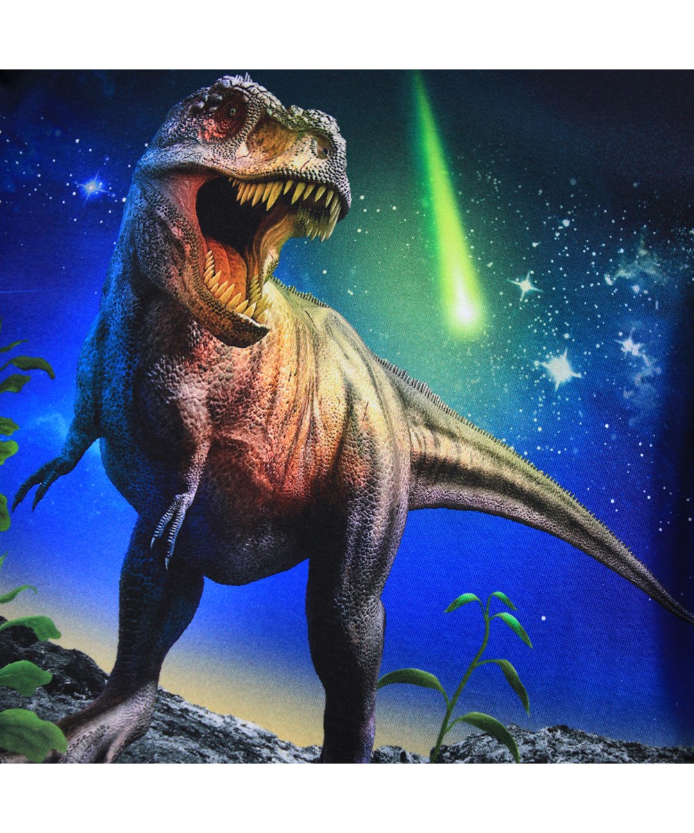 Reif - Meteor Dino - Donkerblauwe longsleeve voor kinderen gemaakt van zacht biologisch katoen met een ribboord rond de hals. De longsleeve heeft een ruimvallende pasvorm en op de voorkant een print van een tynarusaurus onder een sterrenhemel.