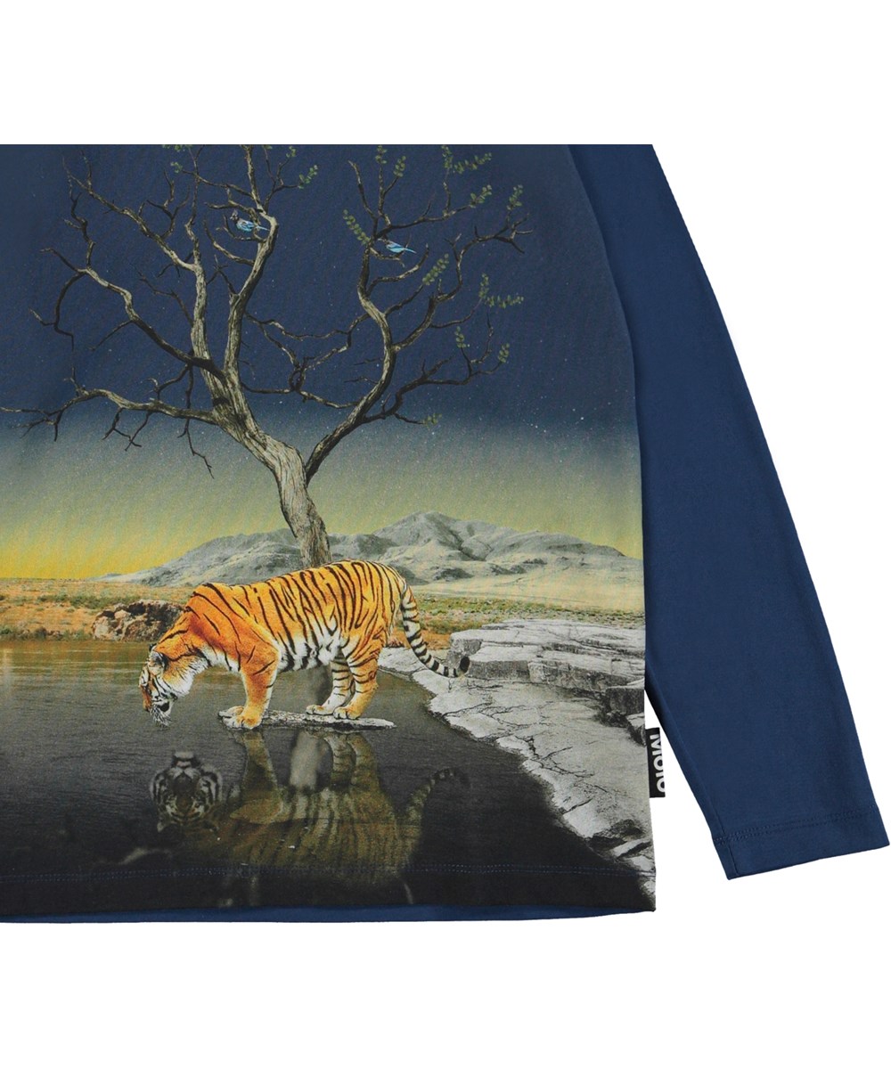 Reif - Tiger Imagine - 