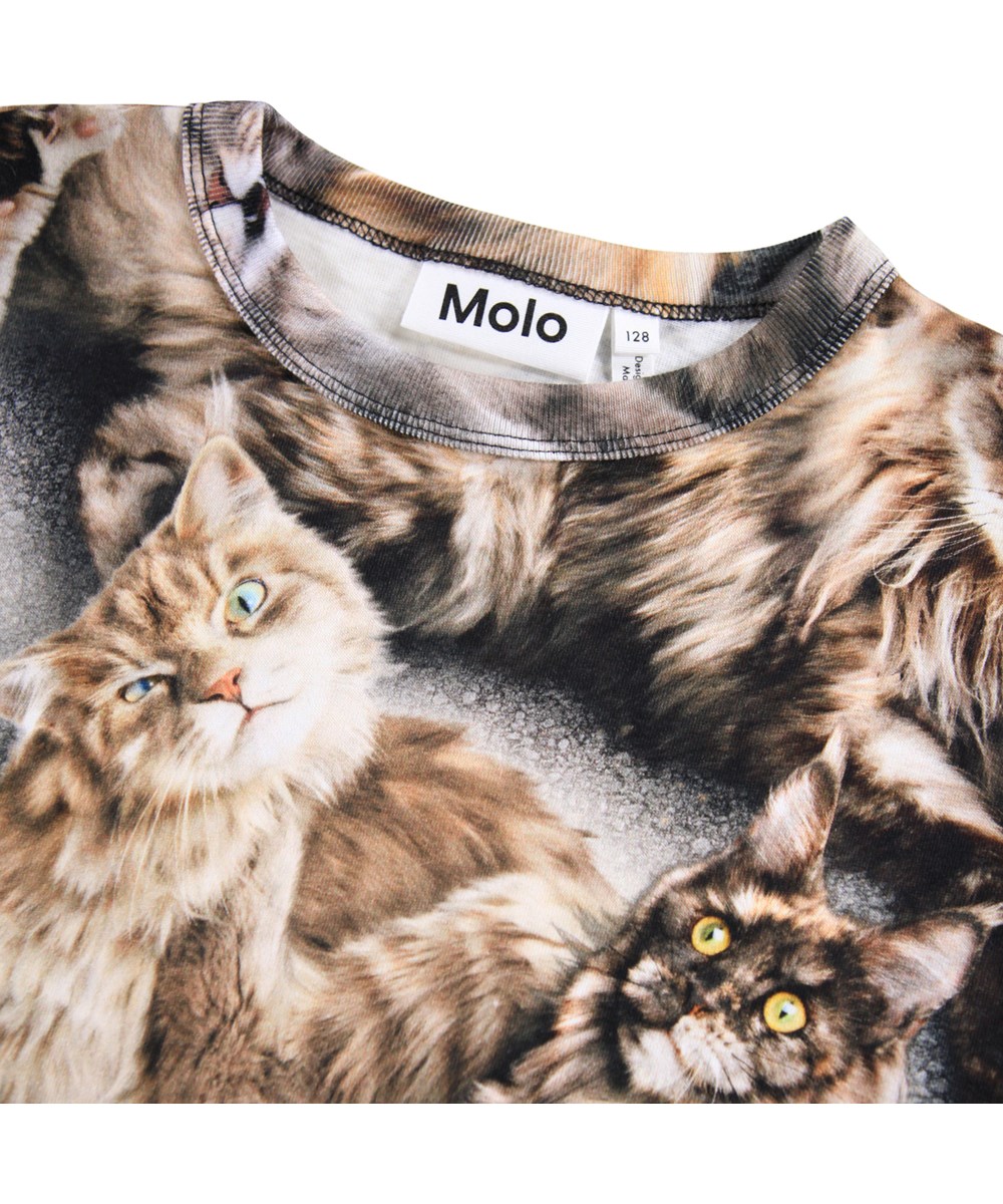 Rill - Cattitudes - Longsleeve voor kinderen gemaakt van zacht biologisch katoen met een ribboord rond de hals. De longsleeve heeft een normale pasvorm en een print van katten in goudbruine kleuren.