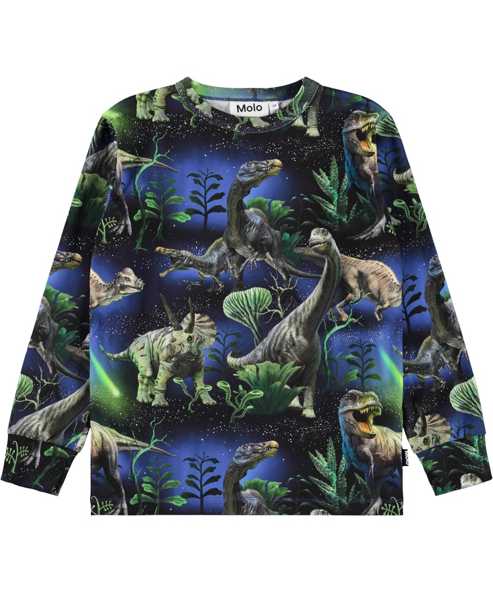 Rill - Dinorama - Grijze longsleeve voor kinderen gemaakt van zacht biologisch katoen met een ribboord ronde de hals. De longsleeve heeft een normale pasvorm en een print van dinosaurussen onder een prachtige nachtelijke hemel.