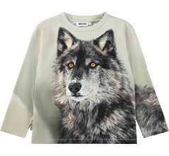 Rollo T-shirts & Tops