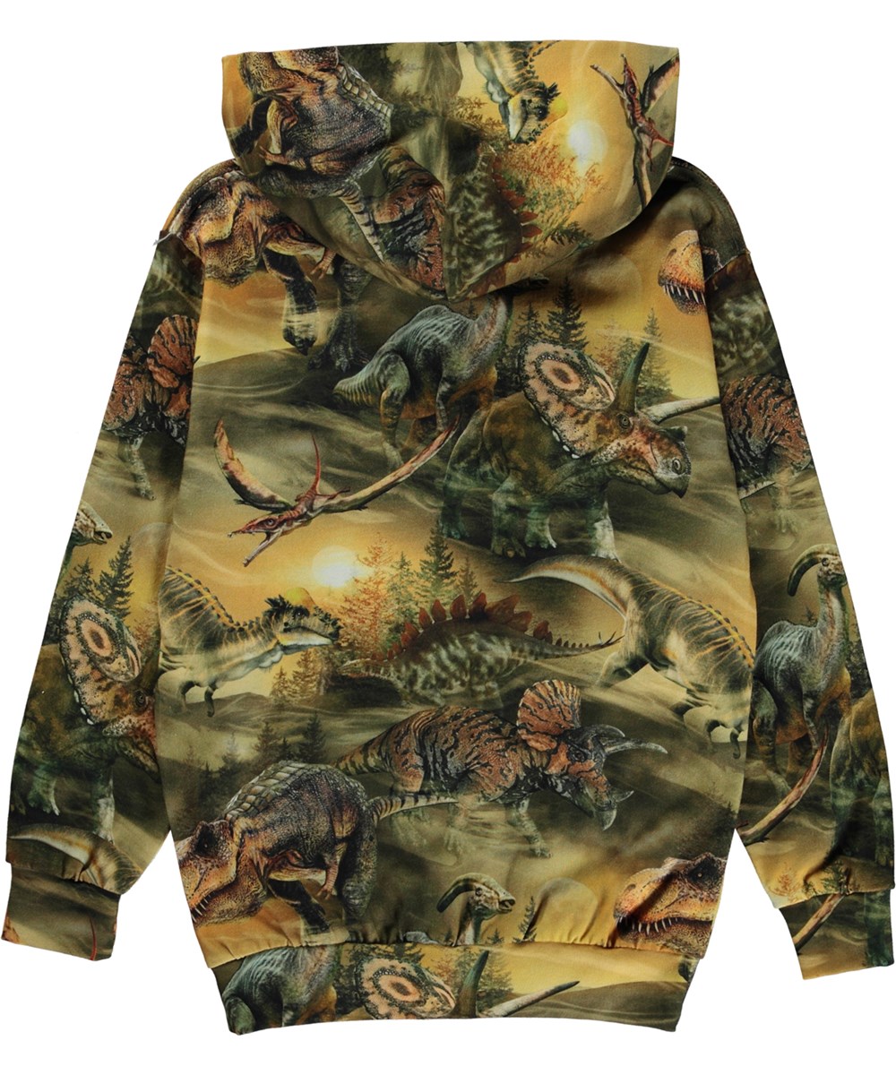 Romo - Dino Dawn - Groene biologische hoodie met een dinosaurusprint