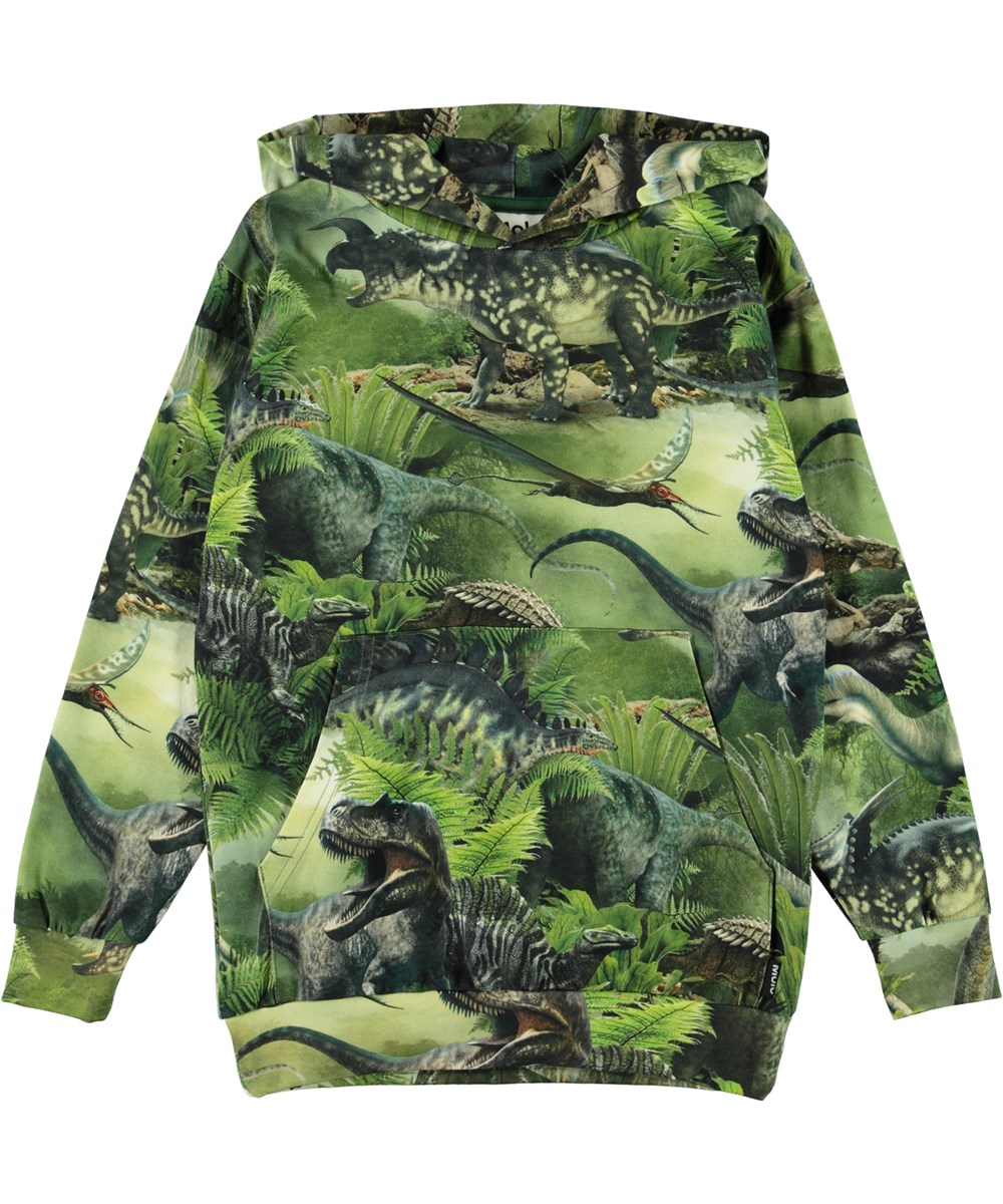 Romo - Dinos - Biologische hoodie met dinosaurus print