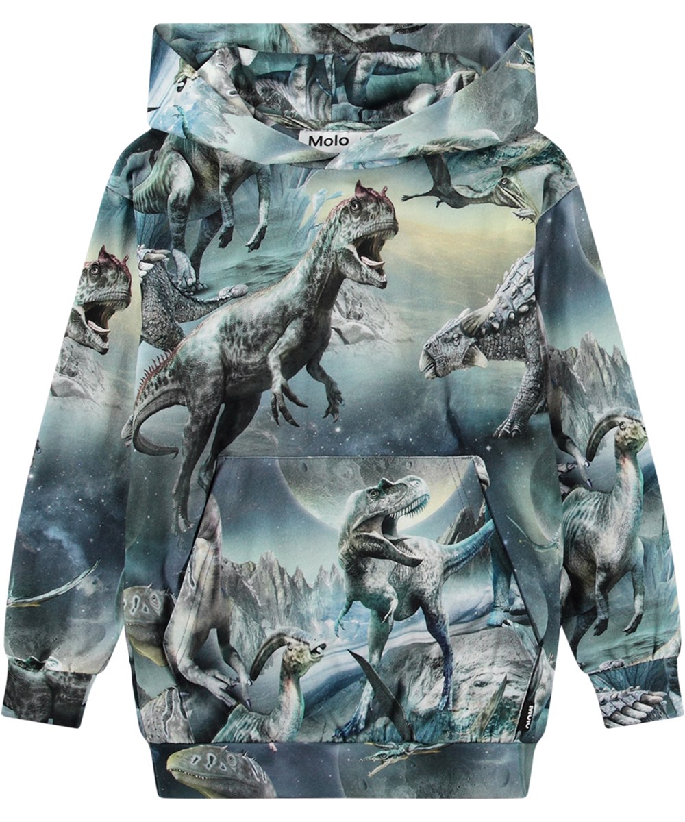 Romo - Dinoverse - Blauwe biologisch katoenen hoodie met een all-over dinosaurus print.