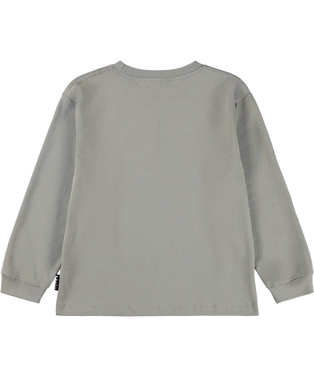 Rube - Dinosaur Fog - Kaki longsleeve voor kinderen gemaakt van biologisch katoen met een ribboord rond de hals en een print van een tyrannosaurus en een uitbarstende vulkaan.