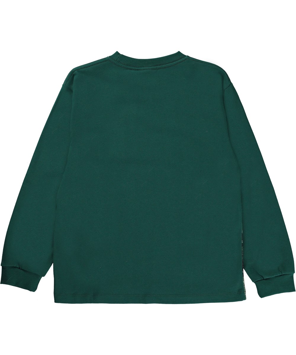 Rube - Nighttime Dinos - Groene biologische longsleeve met dinosaurus print