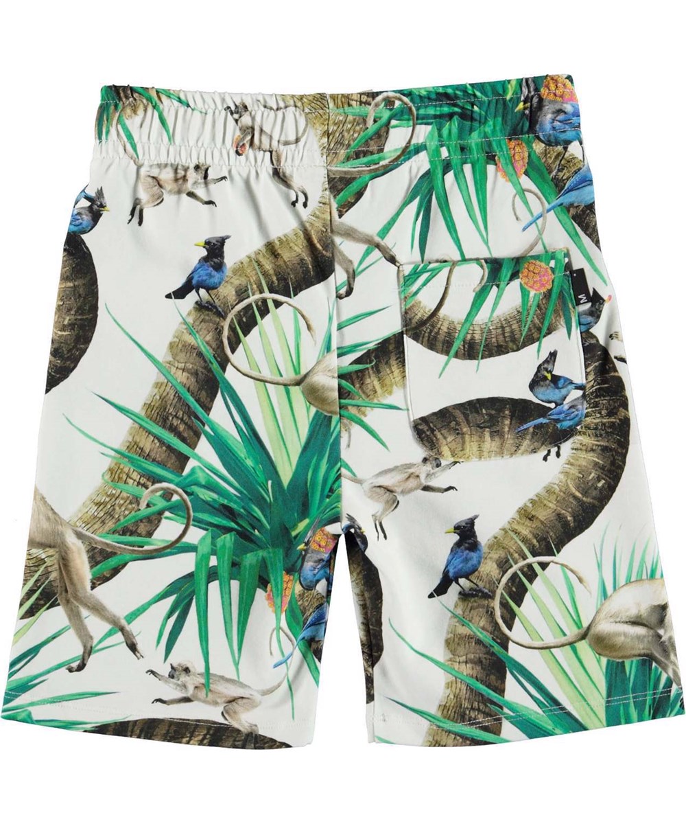 Alim - Monkey Business - Öko-Shorts mit Gummizug und Bindeband in der Taille, im Aufdruck "Monkey Business".