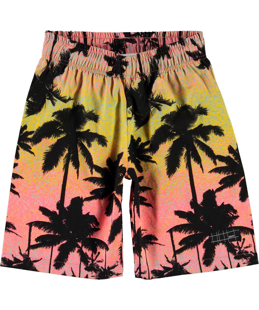 Alvaro - Sunset Palms - Shorts mit Palmen-Druck