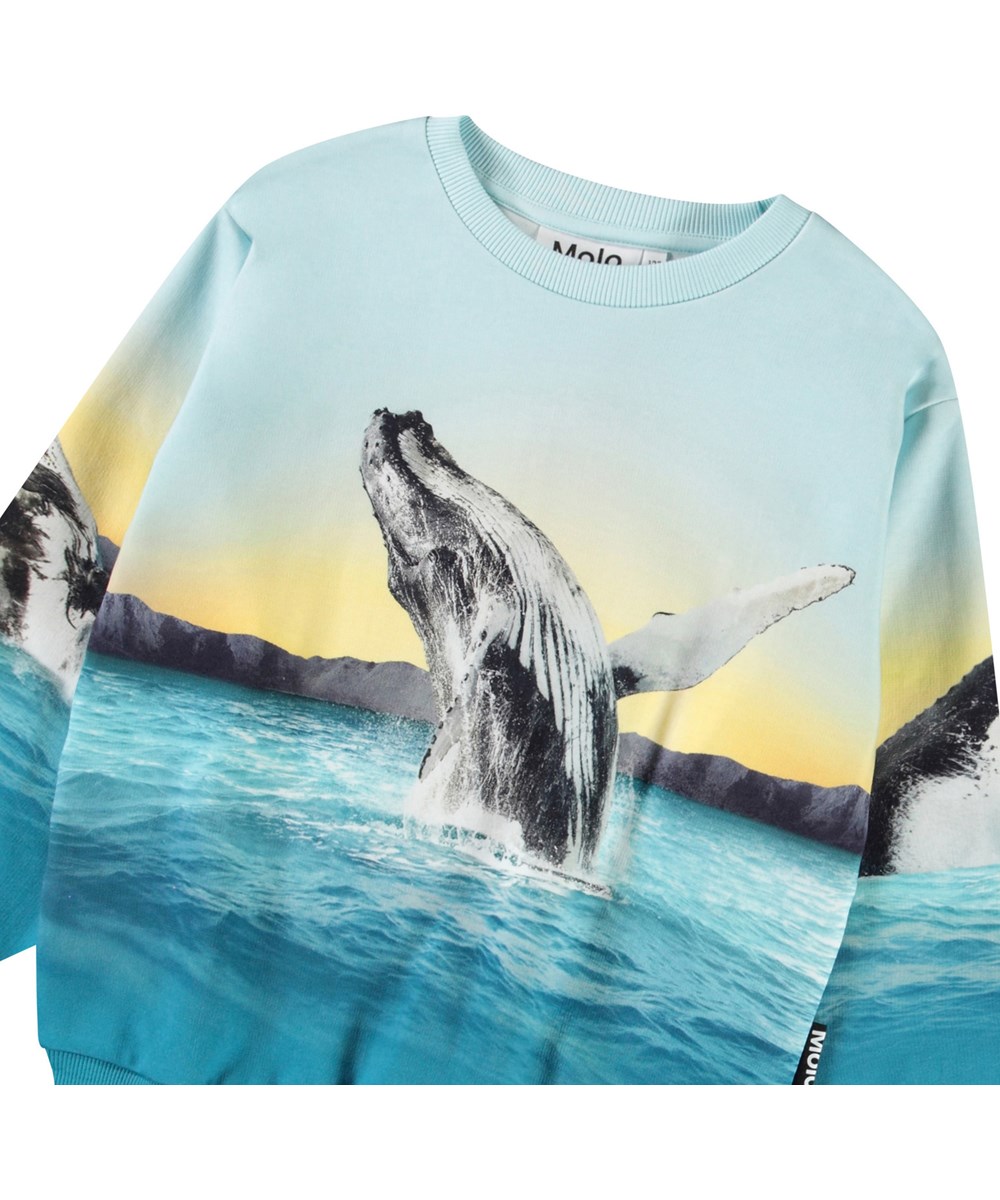 Miksi - Whale Jump - Hellblaues Sweatshirt mit Druck für Kinder aus weicher Öko-Baumwolle mit gerippten Kanten am Hals, an den Ärmeln und am unteren Saum des Sweatshirts.