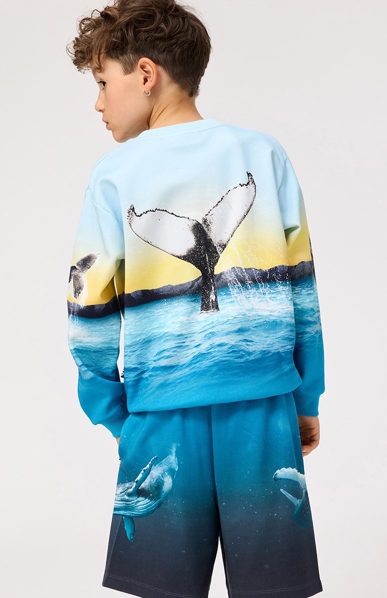 Miksi - Whale Jump - Hellblaues Sweatshirt mit Druck für Kinder aus weicher Öko-Baumwolle mit gerippten Kanten am Hals, an den Ärmeln und am unteren Saum des Sweatshirts.