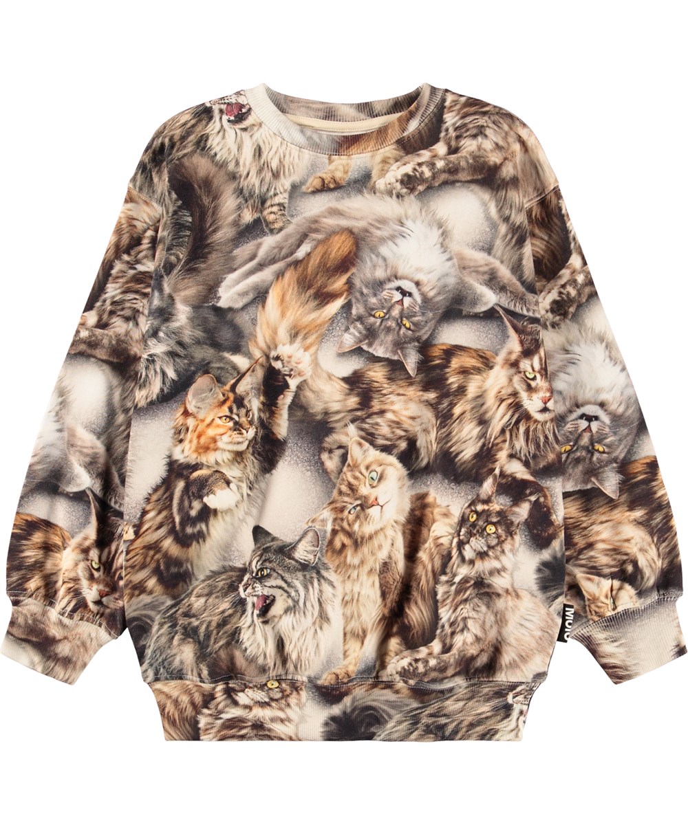 Monti - Cattitudes - Sweatshirt für Kinder aus weicher Öko-Baumwolle mit einem braunen Katzen-Print.