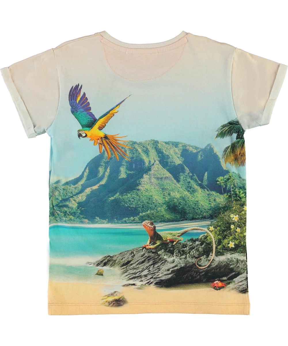 Rafe - Welcome To Hawaii - 