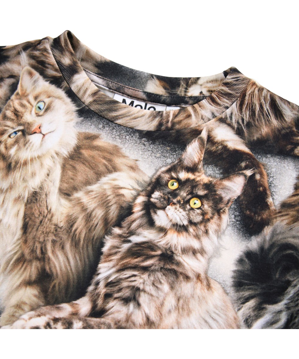 Ralphie - Cattitudes - Schmal geschnittenes T-Shirt für Kinder aus weicher Öko-Baumwolle mit Katzenmotiv, kurzen Ärmeln und geripptem Ausschnitt.