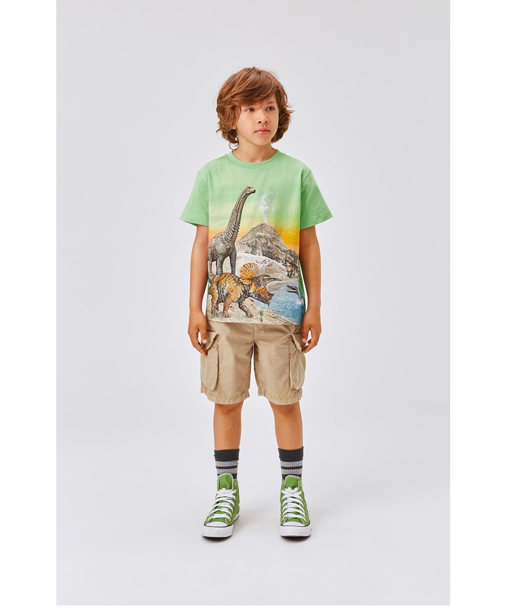 Rame - Colourful Dinos - Grünes Öko-T-Shirt mit Dino-Print