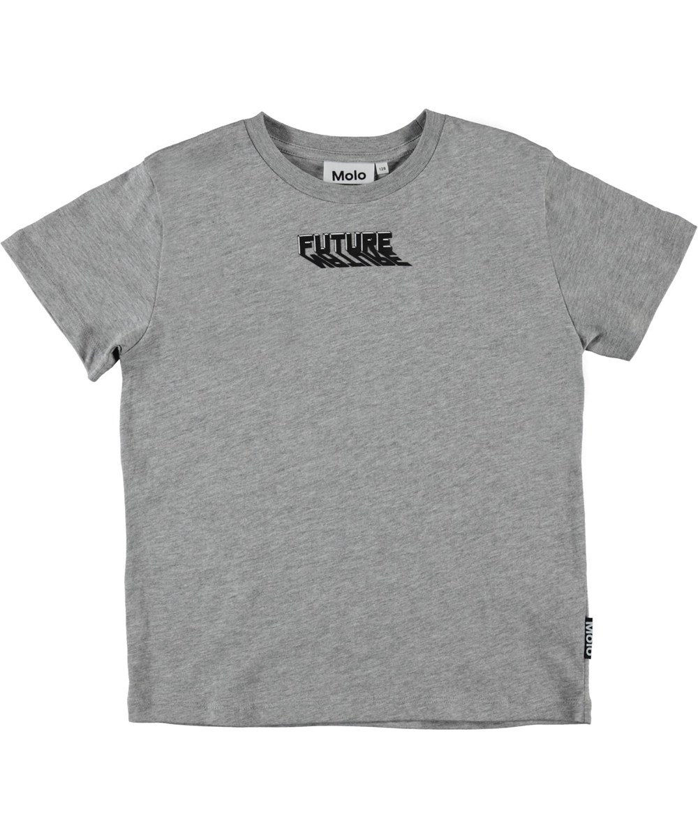 Rame - Grey Melange - Graues T-Shirt mit Furture, nature Druck