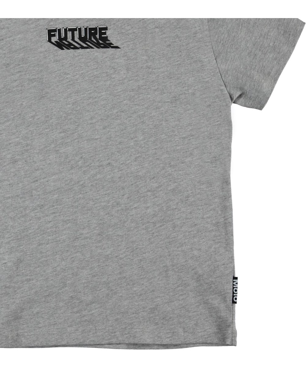 Rame - Grey Melange - Graues T-Shirt mit Furture, nature Druck