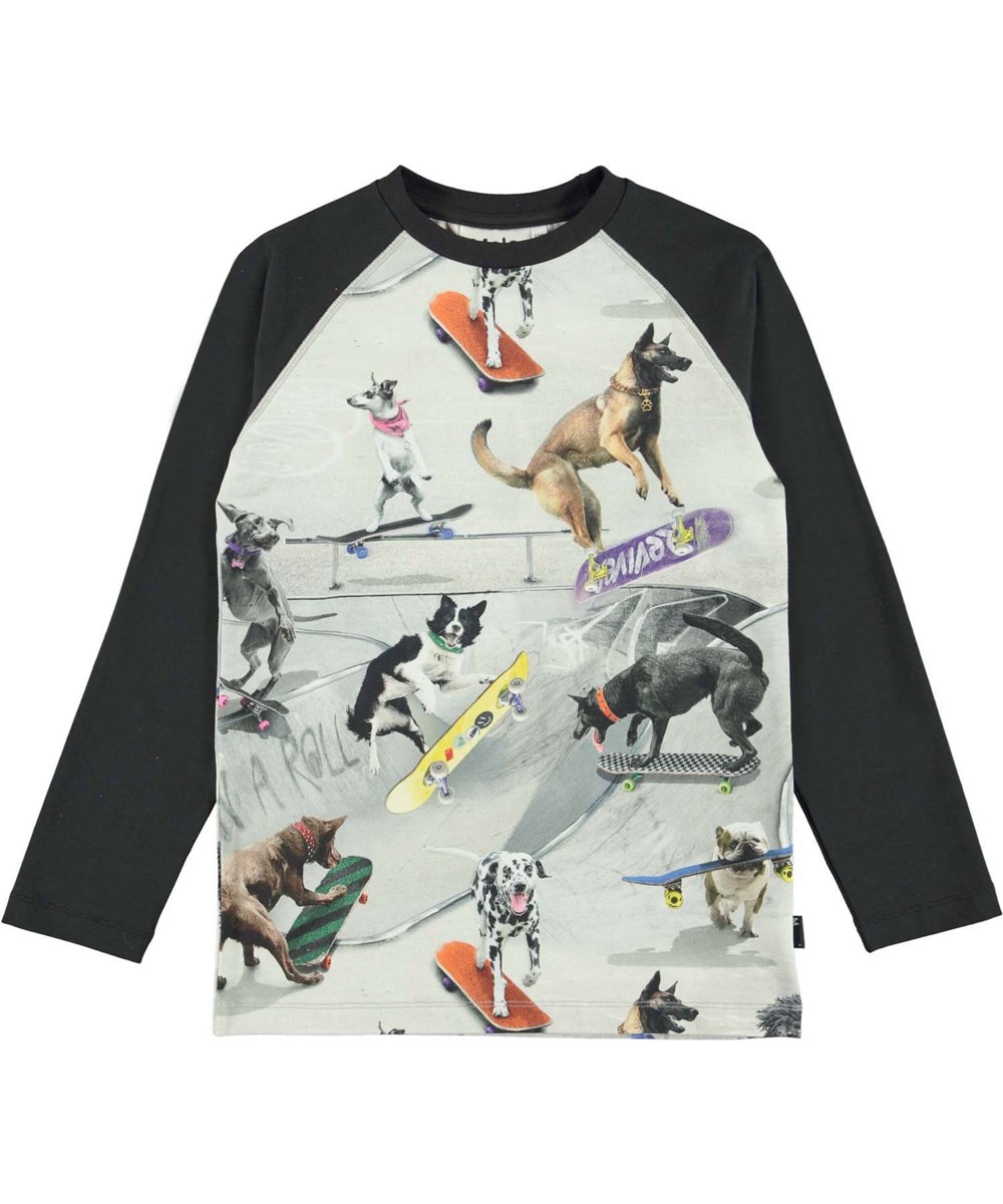 Remington - Doggy Town - Öko-Langarm-Raglan-T-Shirt mit Hunde-Skate-Print