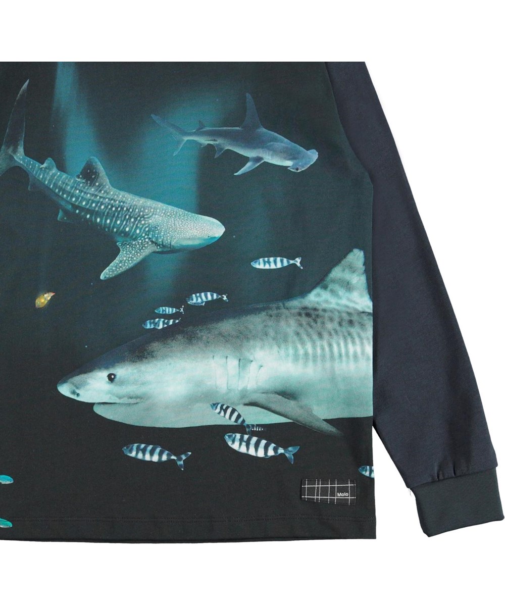 Rexton - Dark Sharks - Öko blauer Pullover mit Haifischdruck