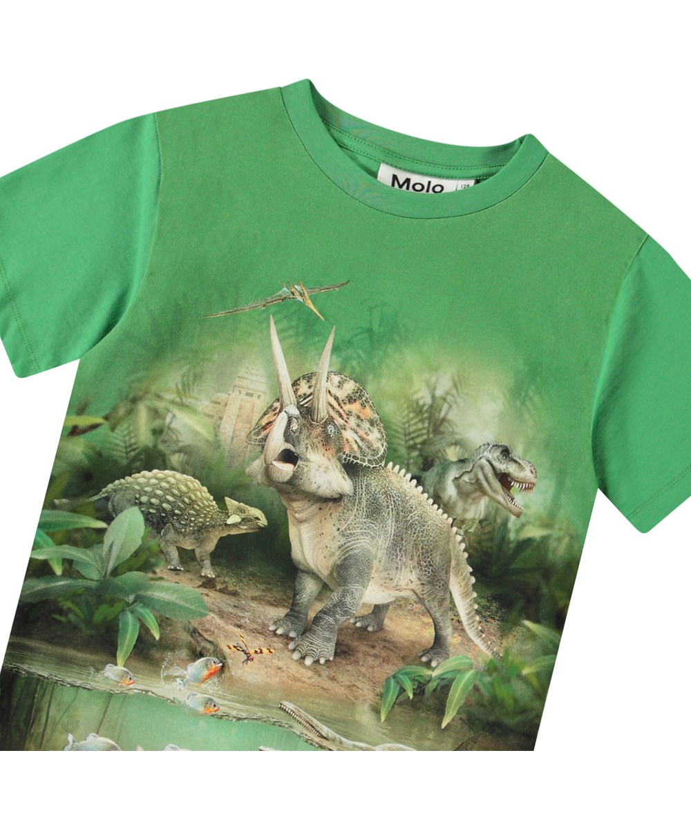 Riley - Jungle Dinos - Grünes T-Shirt mit Aufdruck für Kinder aus weicher Öko-Baumwolle mit kurzen Ärmeln und geripptem Ausschnitt.