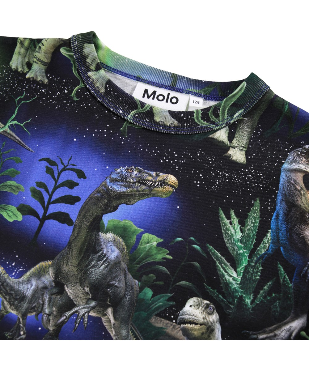 Rill - Dinorama - Graues Langarmshirt für Kinder aus weicher Öko-Baumwolle mit langen Ärmeln und einem gerippten Ausschnitt. Das Langarmshirt hat eine normale Passform und einen Druck von Dinosauriern unter einem wunderschönen Nachthimmel.