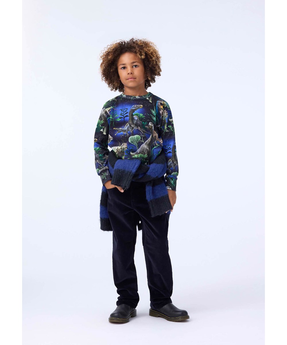 Rill - Dinorama - Graues Langarmshirt für Kinder aus weicher Öko-Baumwolle mit langen Ärmeln und einem gerippten Ausschnitt. Das Langarmshirt hat eine normale Passform und einen Druck von Dinosauriern unter einem wunderschönen Nachthimmel.