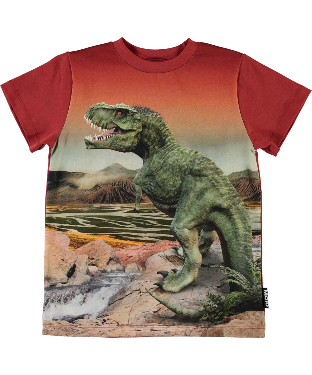 Road - Dinosaurs - Öko T-Shirt mit T-Rex dDno