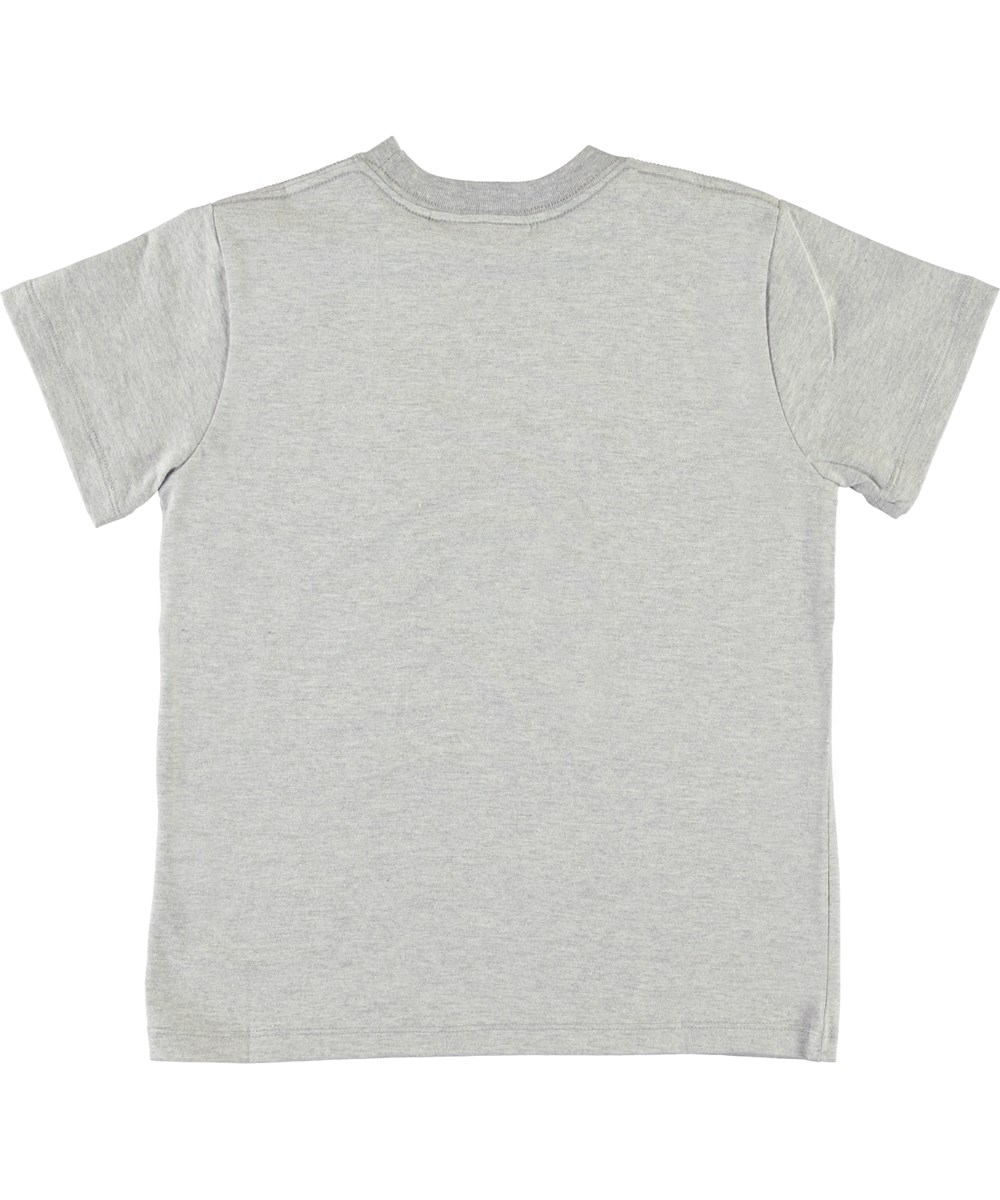 Road - Red Sky Skate - Graues T-Shirt mit Skateboards