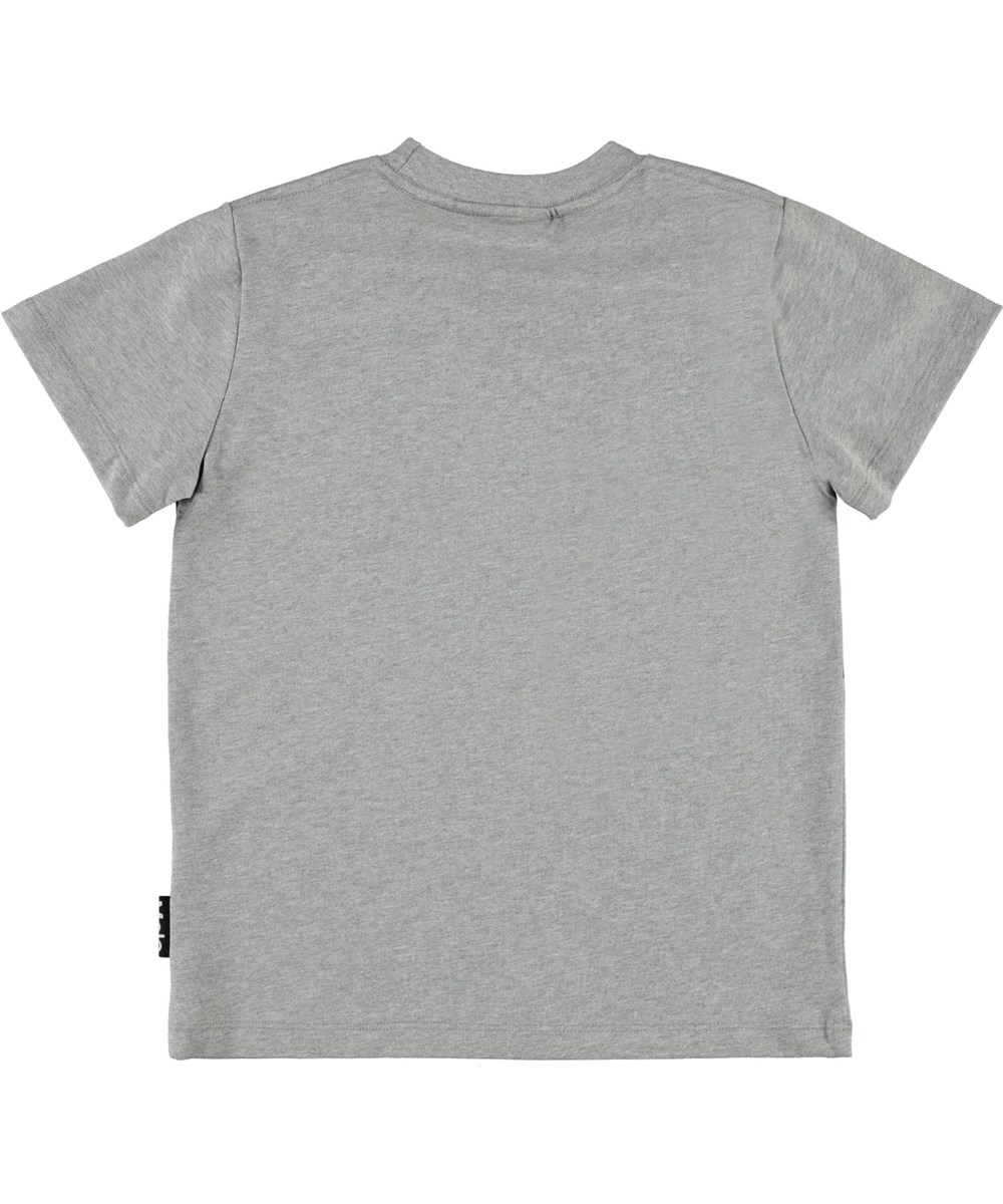 Road - Terrain Drive - Öko graues T-Shirt mit Autos