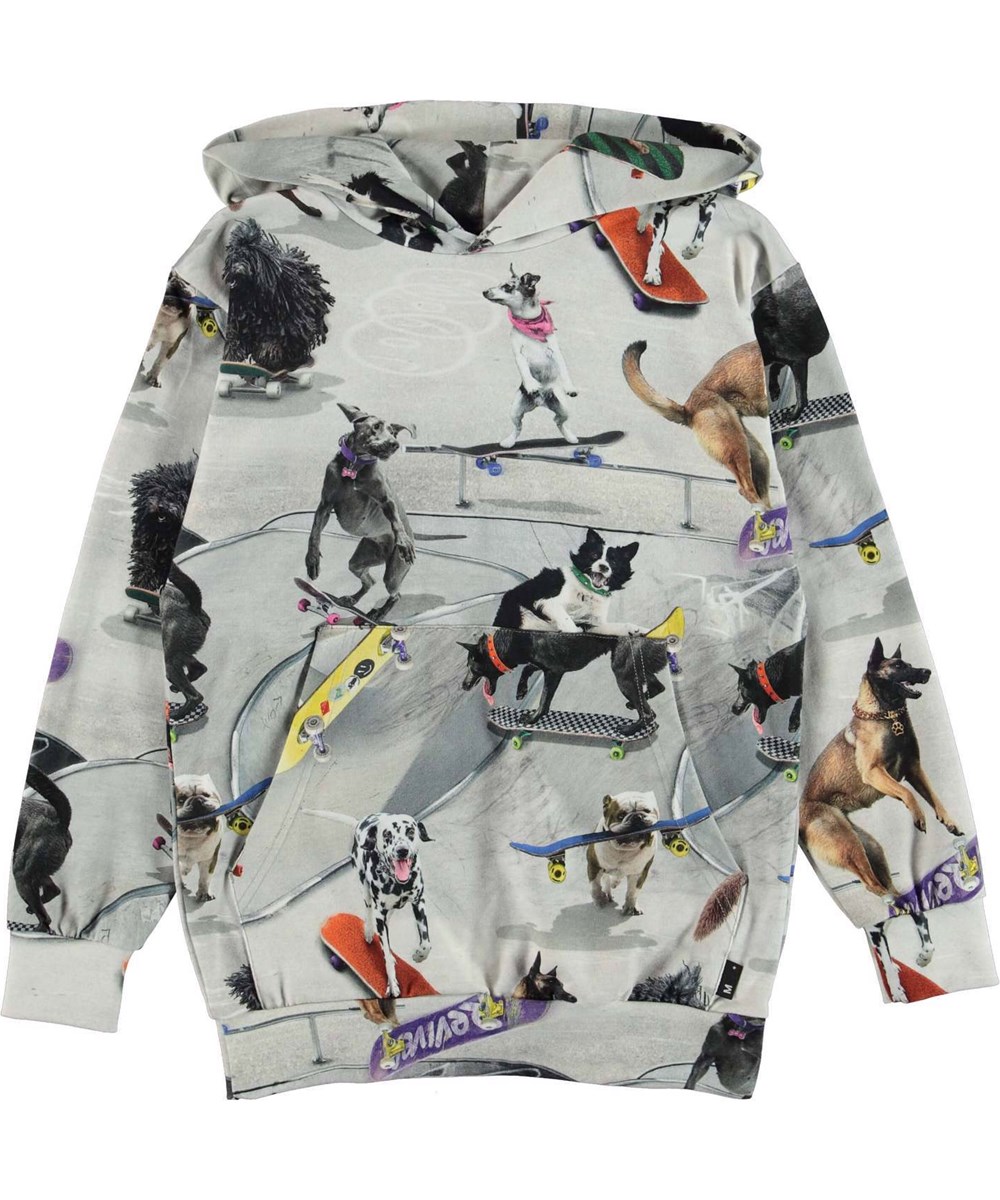 Romo - Doggy Town - Öko-Hoodie mit Hunde-Skate-Print
