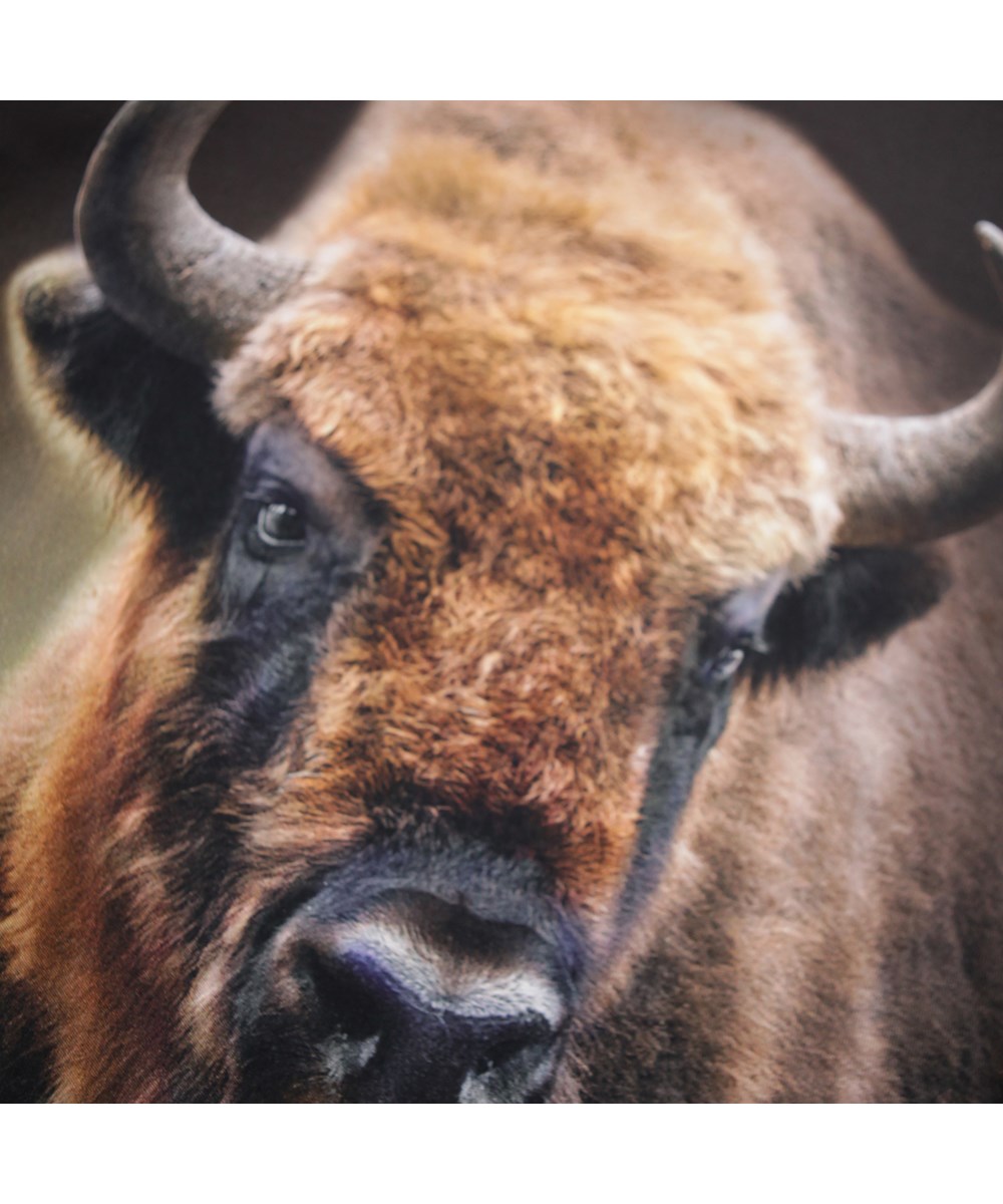 Rube - Bison Encounter - Dunkelbraunes Langarmshirt für Kinder aus Öko-Baumwolle mit geripptem Ausschnitt und einem Frontdruck eines Bisons.