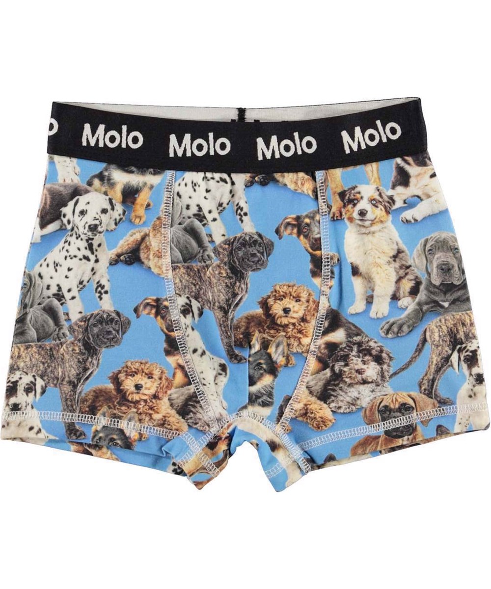 Justin 2-pack - White Pups - 2er-Pack Boxershorts in Weiß und Welpendruck.