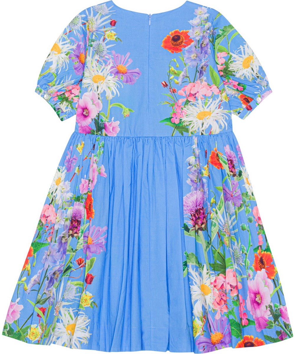 Casey - Blue Garden - Blaues Kleid aus Öko-Baumwolle mit Blumendruck