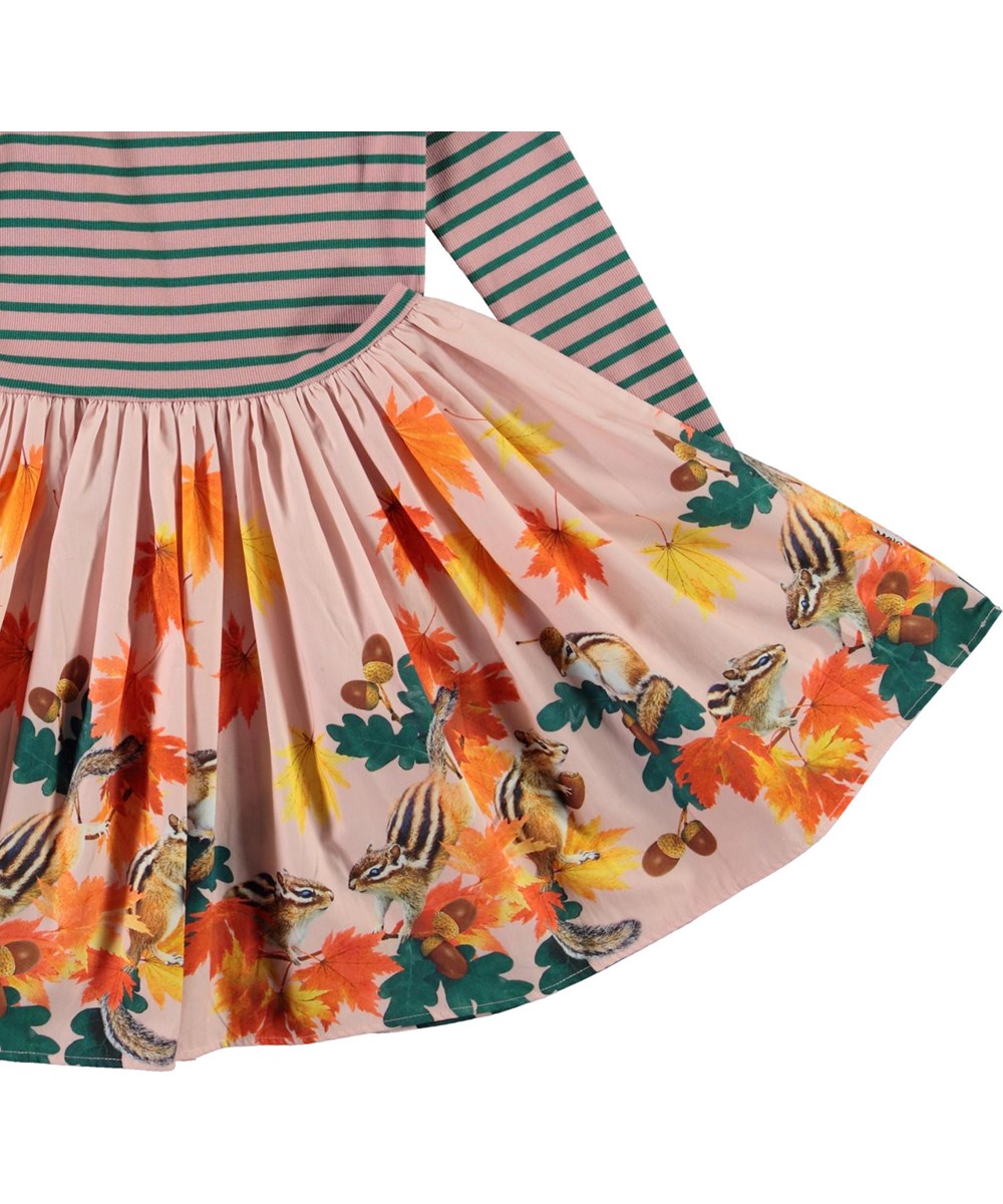 Casie - Chipmunks - Öko-Kleid mit gestreiftem Oberteil und Eichhörnchen