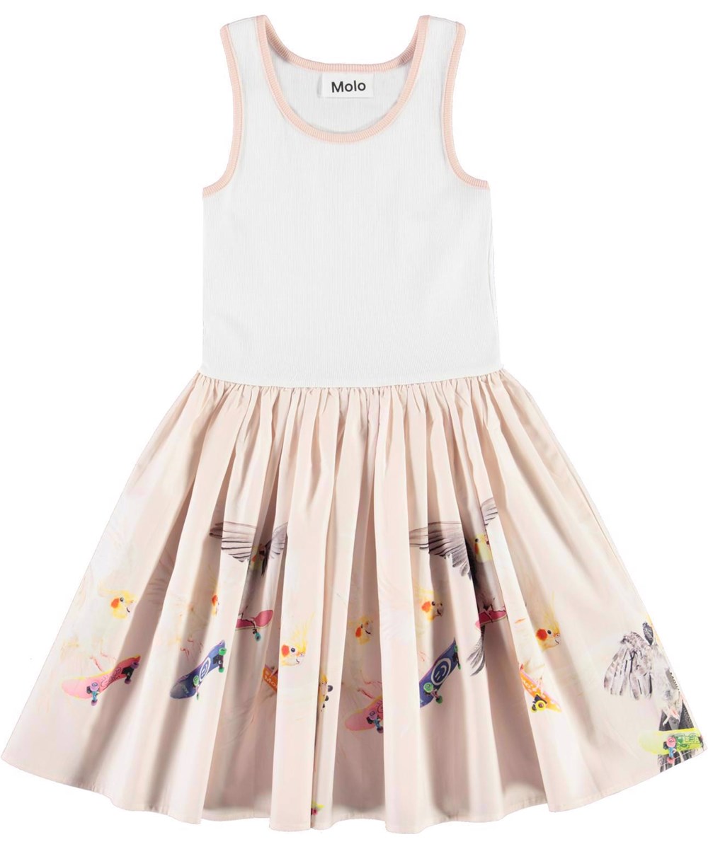 Cassandra - Skate Border - Öko-Kleid mit rosa Unterteil mit Skater-Vögeln