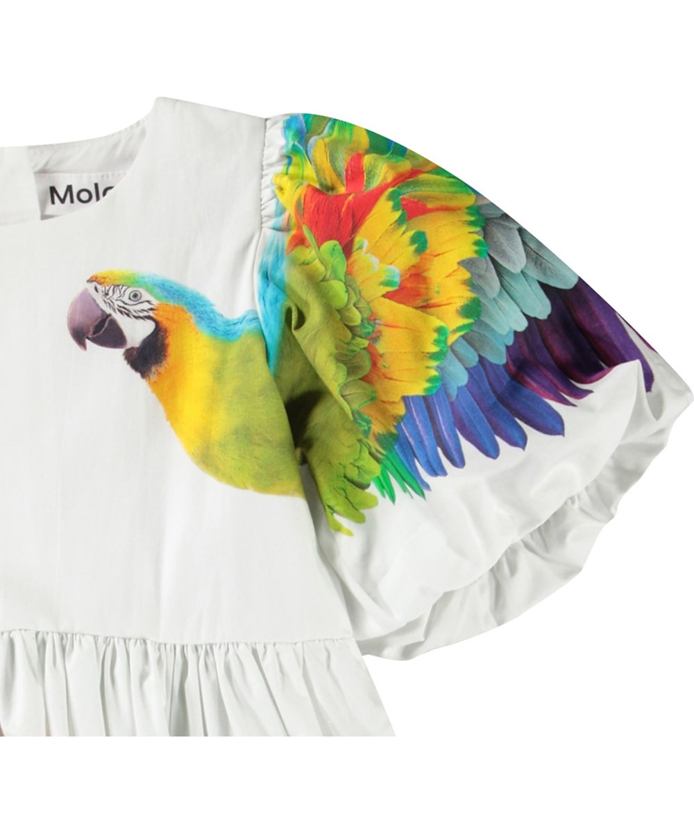 Chica - In The Jungle - Weißes knielanges Kleid für Kinder aus Öko-Baumwolle mit Puffärmeln und Rundhalsausschnitt.
